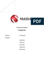 Mobilink Organizational Report Summary