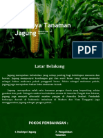 Powerpoint Budidaya Tanaman Jagung Erigunawan