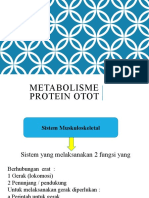 Metabolisme Protein Otot I