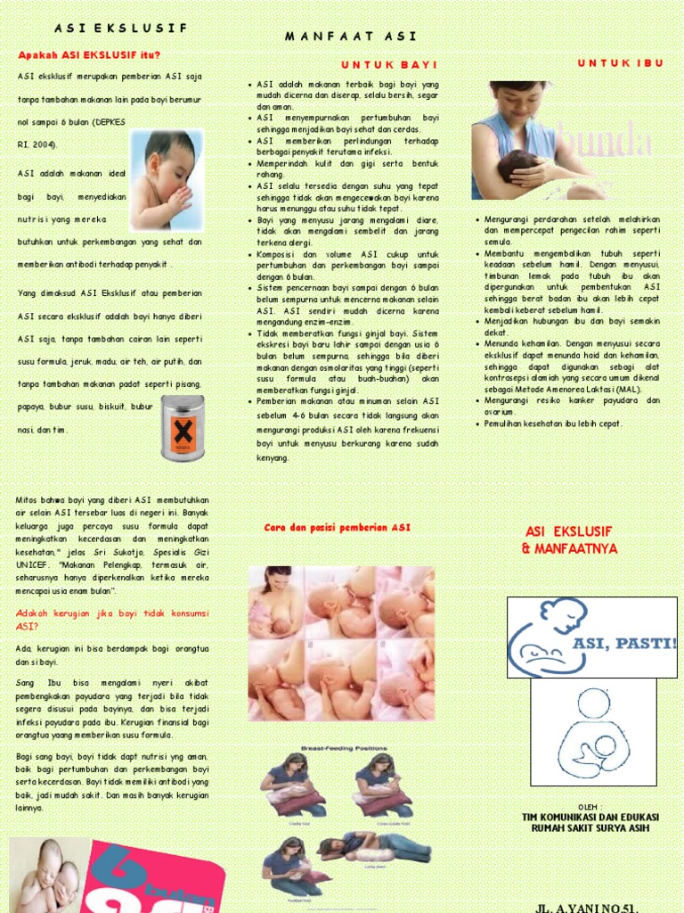 ASI Eksklusif (Leaflet) | PDF