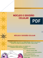 Núcleo celular e divisão