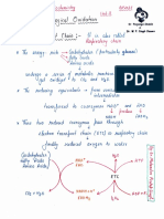 Electron Transport Chain Introduction