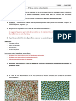 TP 2 Matrice Extracellulaire-Élève-Correct