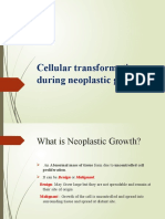 Cellular Transformation During Neoplastic Growth
