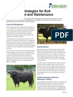 ANR 2660 Bull Development Nutritional Strategies - 070720L A