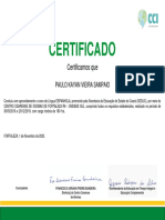 Certificado Paulo Kayan