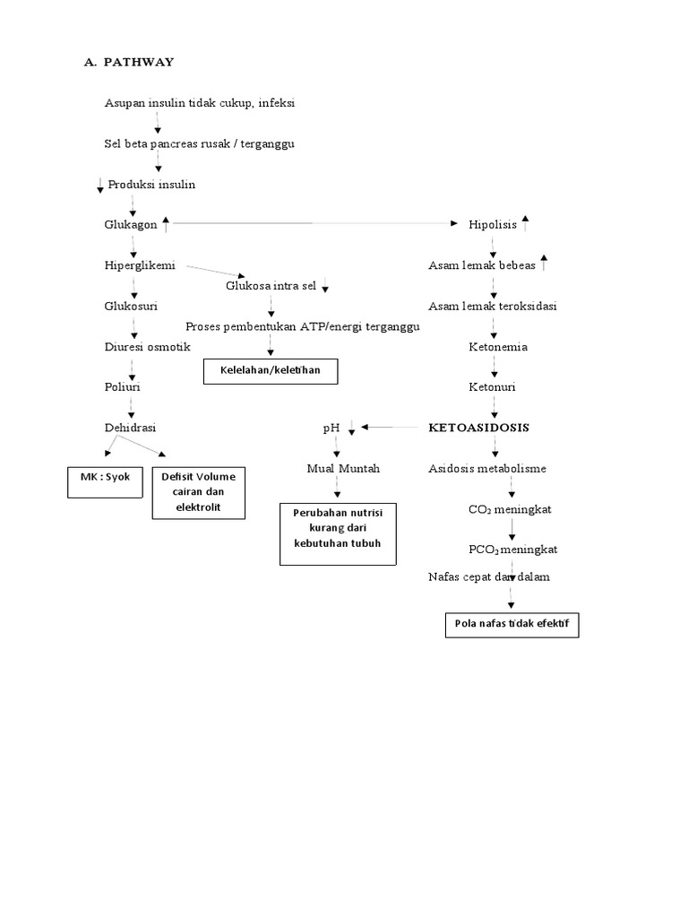 Pathway Ketoasidosis Diabetik dan Hiperglikemia | PDF | Kesehatan Holistik