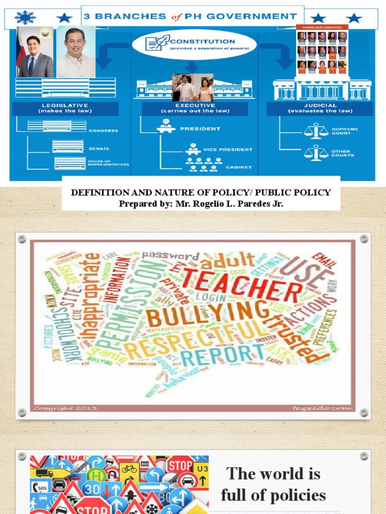 Understanding Public Policy Basics | PDF | Policy | Justice
