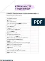 Determinantes y Pronombres