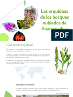 Las Orquideas de Huancavelica - Presentación - Luis Egoavil