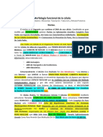 Morfología funcional de la célula: núcleo, retículo endoplásmico, ribosomas y síntesis proteica