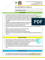 Ficha Descriptiva Grupal 2021