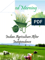 Indian Agriculture After Independence