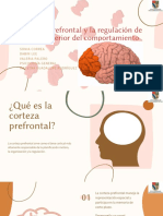 Corteza Prefrontal y La Regulación de Orden Superior Del Comportamiento