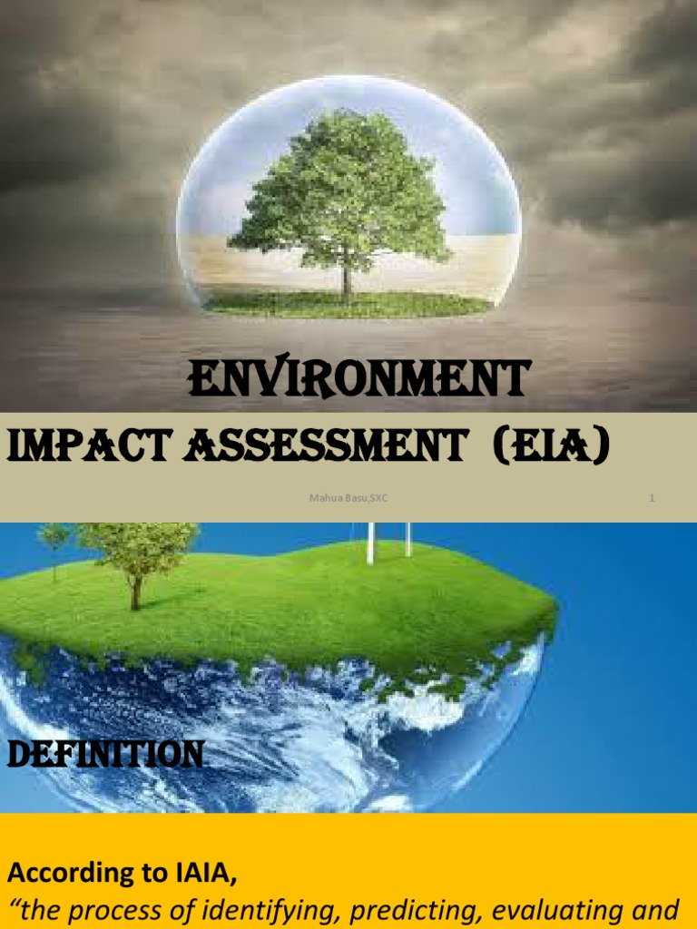 2021 Unit 6 Environment Impact Assessment PDF Environmental Impact Assessment Natural