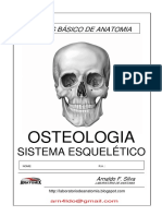 Anatomia Esqueleto