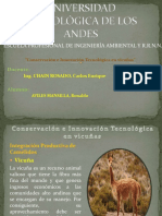 Escuela Profesional de Ingeniería Ambiental Y R.R.N.N.: Docente