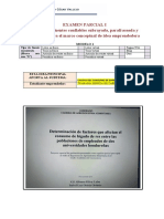 FORMATO PARA REGISTRO DE FUENTES PARA IDEA EMPRENDEDORA (Tuanama Ishuiza Elizabeth)