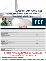 6 Passos Planilha Periodizacao Ebook