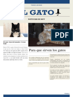 Noticias Gato 2