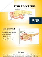 Páncreas Endocrino PDF Grupo
