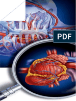 Rotafolio Hipertension