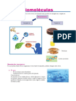 BIOMOLECULAS