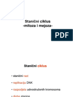 Stanični Ciklus - Mitoza I Mejoza