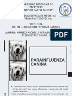 Parainfluenza Canina, Maritza Hernández 3B