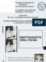 Rinotraqueitis Viral Felina, Maritza Hernández 3B