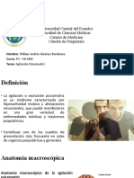 Agitación Psicomotriz - Diapositivas