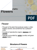 Module 8 - Flowers