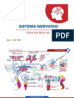 Sistema Nervioso - Ciencias Básicas - ENAM2022