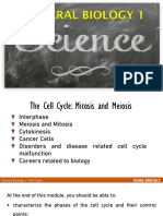 Phases of Cell Cycle