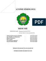 Kelompok 4 Anatomi Fisiologi PANCAINDERA