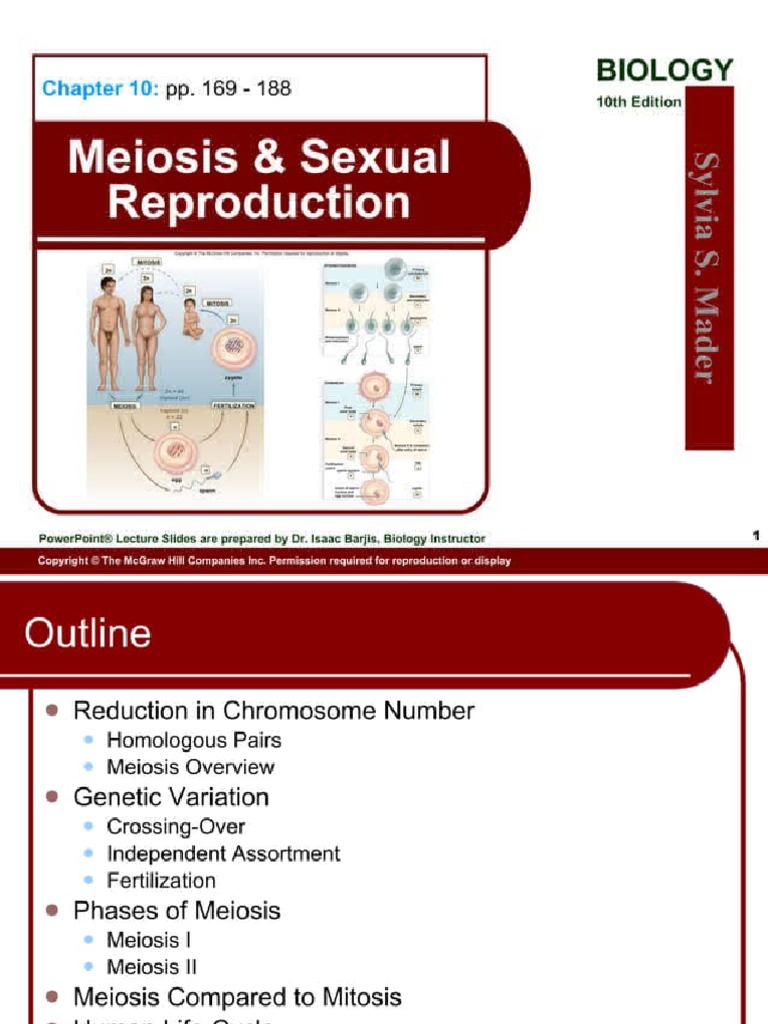 Chapter 10 meiosis sexual reproduction pdf
