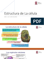 Estructura de La Celula