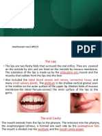 Amirhossein Vaezi MS121 Oral Cavity