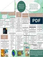 Mapa Conceptual Problemas Ambientales