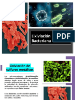 Lixiviación Bacteriana