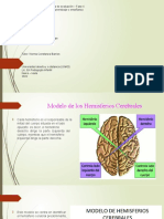 Hemisferios Cerebrales