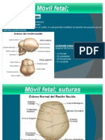 Diapositiva D Materno Infantil I (Isa)