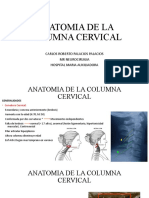 Anatomia de La Columna Cervical