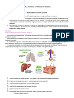 Sistema Excretor 3 C 2022