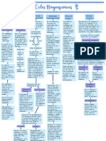 Ciclos Bioquimicos