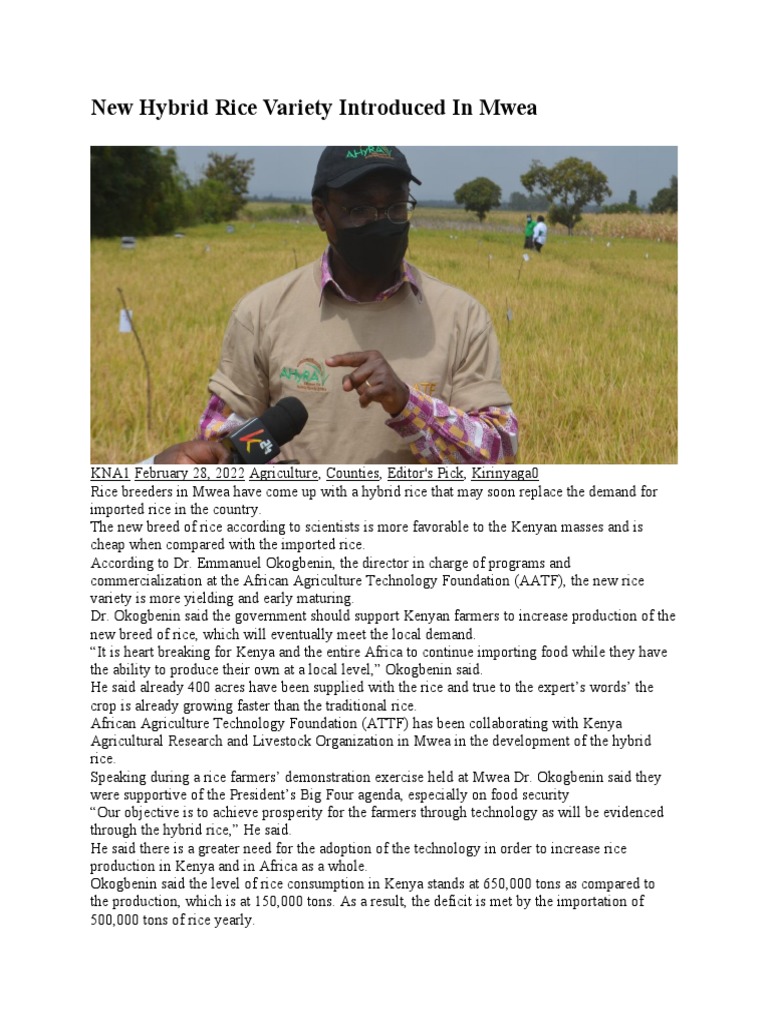 Rice News 1march 2022 | PDF | Rice | Agriculture