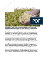 Rice News 2-4 Feb 2022