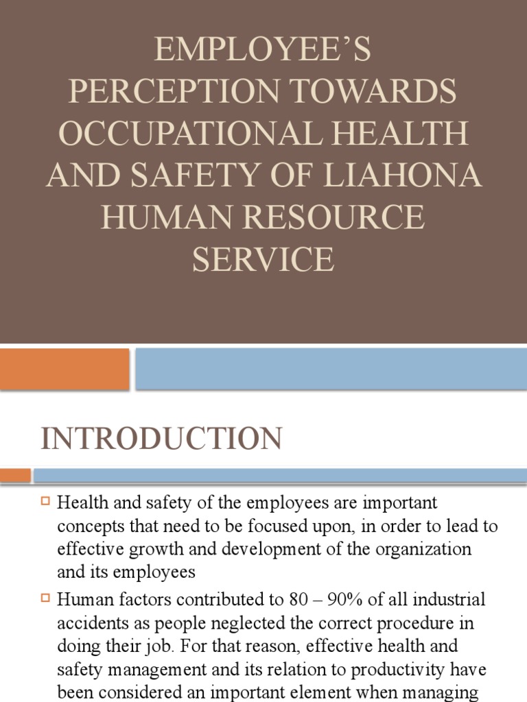Employee Perceptions of OHS at Liahona | PDF | Occupational Safety And ...