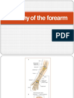 Anatomy of The Forearm Lec 11&12 2