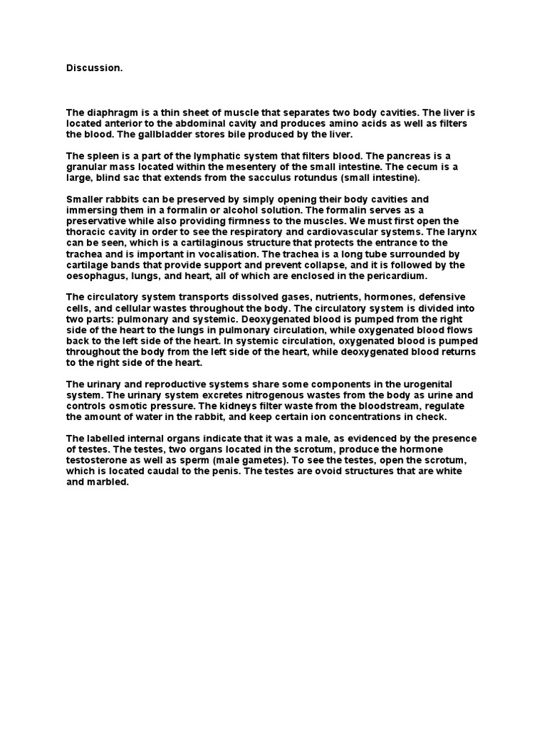 Discussion Rabbit Dissection Anatomy PDF
